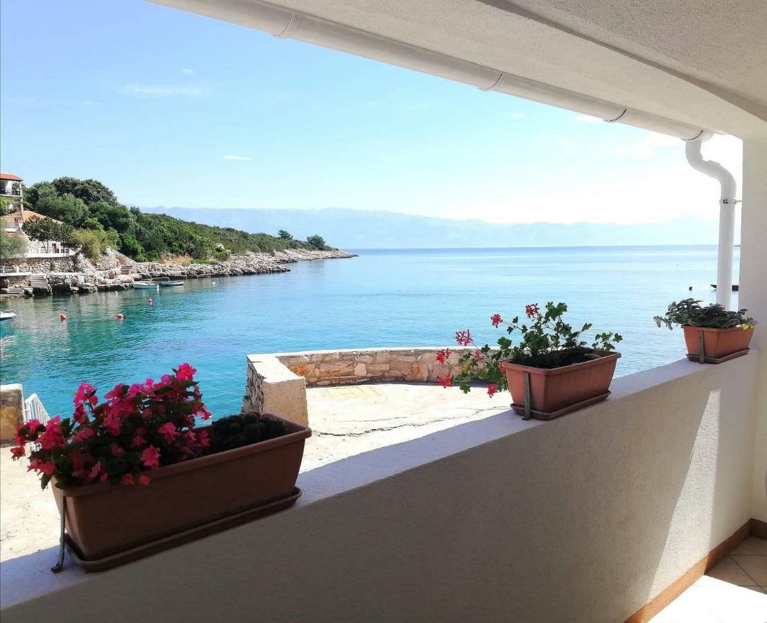 Apartment Amfora *